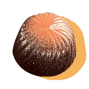 a blood orange chocolate bon bon