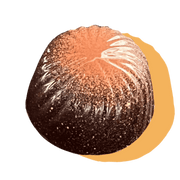 a blood orange chocolate bon bon 