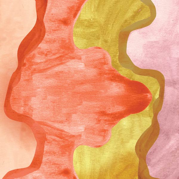 Watercolor artwork for Ginger covered in dark chocolate pouch