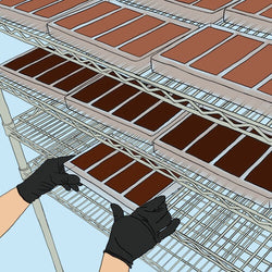 An illustration of chocolate being put in molds on a cooling rack