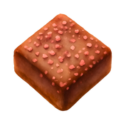 Raspberry Dark Chocolate