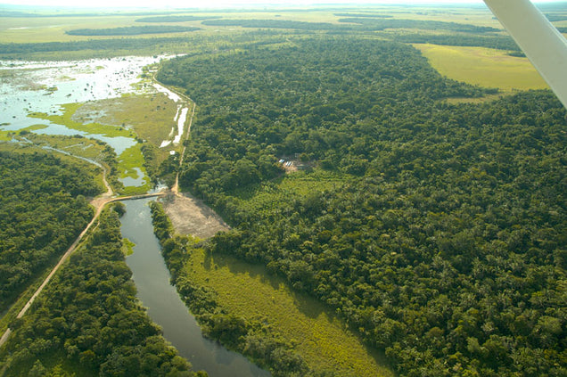 A photo of the Hacienda Tranquilidad farm, where Monsoon Chocolate sources cacao